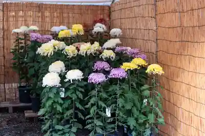 生島足島神社(長野県)