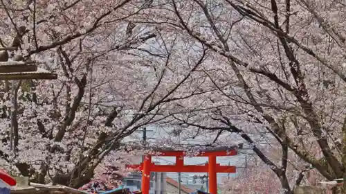 平野神社のその他建物