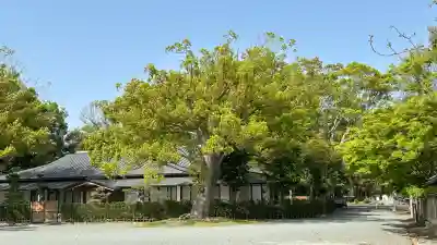 宗像大社(福岡県)