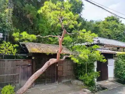 金地院(京都府)