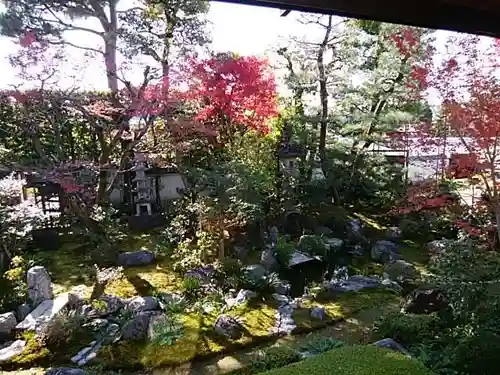 養徳院の庭園