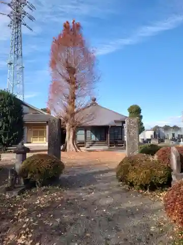 念宗寺(神奈川県)