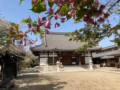 宝蔵寺の本殿・本堂