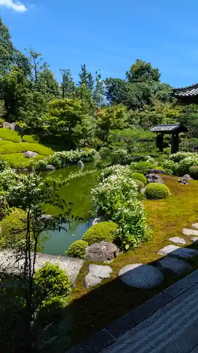 両足院(京都府)