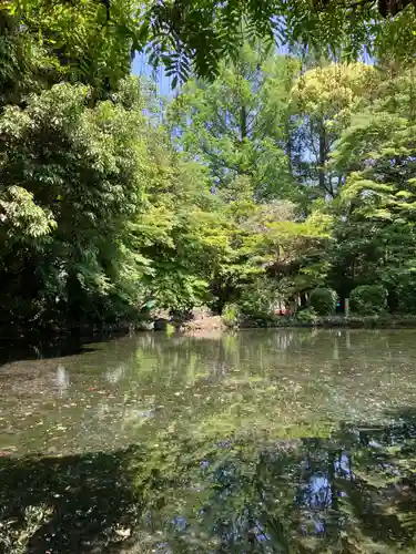富士山本宮浅間大社(静岡県)