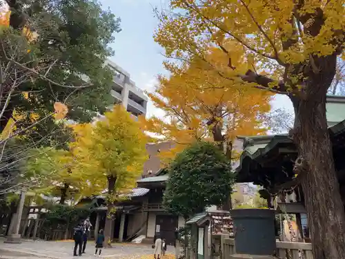 小野照崎神社の景色