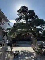 瑞光寺の{uncategorized: "未分類", other: "その他", undefined: "問題あり", building: "その他建物", grave: "お墓", sacred_gate: "鳥居", guardian: "狛犬", statue: "像", buddha: "仏像", history: "歴史", nature: "自然", garden: "庭園", animal: "動物", pagoda: "塔", temizu: "手水舎", mountain_gate: "山門・神門", sanctuary: "本殿・本堂", subordinate: "末社・摂社", art: "芸術", scenery: "景色", jizo: "地蔵", ema: "絵馬", goshuin: "御朱印", omikuji: "おみくじ", items: "授与品その他", amulet: "お守り", goshuincho: "御朱印帳", eats: "食事", festival: "お祭り", votive_dance: "神楽", shichigosan: "七五三参", wedding: "結婚式", experience: "体験その他", initially: "初詣", around: "周辺", anti_infection: "感染症対策"}