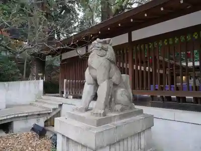 乃木神社の狛犬