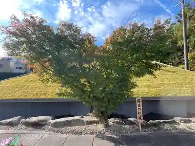 伊勢の国 四天王寺(三重県)