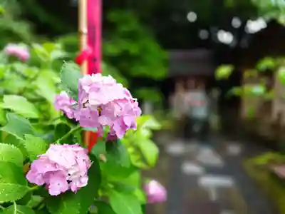 杉本寺(神奈川県)
