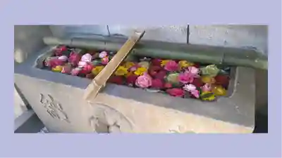 尾久八幡神社(東京都)