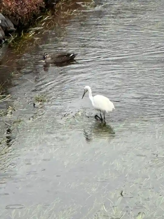 南沢氷川神社(東京都)