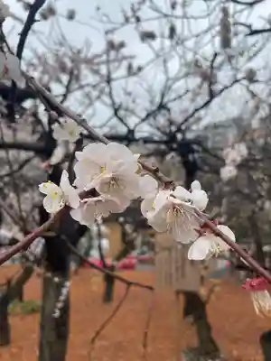 湯島天満宮(東京都)