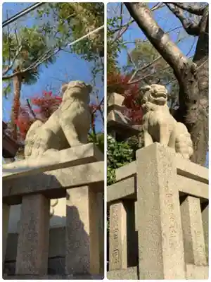 北野天満神社の狛犬