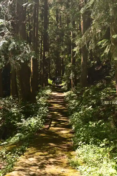 悲願寺(徳島県)