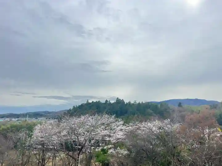 遍照寺の{uncategorized: "未分類", other: "その他", undefined: "問題あり", building: "その他建物", grave: "お墓", sacred_gate: "鳥居", guardian: "狛犬", statue: "像", buddha: "仏像", history: "歴史", nature: "自然", garden: "庭園", animal: "動物", pagoda: "塔", temizu: "手水舎", mountain_gate: "山門・神門", sanctuary: "本殿・本堂", subordinate: "末社・摂社", art: "芸術", scenery: "景色", jizo: "地蔵", ema: "絵馬", goshuin: "御朱印", omikuji: "おみくじ", items: "授与品その他", amulet: "お守り", goshuincho: "御朱印帳", eats: "食事", festival: "お祭り", votive_dance: "神楽", shichigosan: "七五三参", wedding: "結婚式", experience: "体験その他", initially: "初詣", around: "周辺", anti_infection: "感染症対策"}