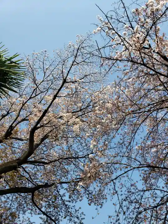 東光寺(東京都)