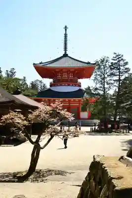 壇上伽藍(和歌山県)