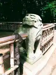 日高神社の狛犬