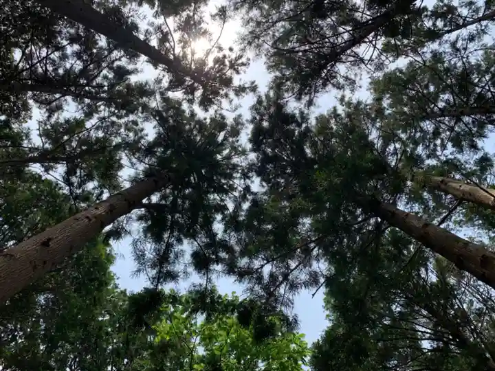 天照皇太神宮の自然