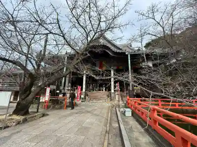 金剛宝寺（紀三井寺）の{uncategorized: "未分類", other: "その他", undefined: "問題あり", building: "その他建物", grave: "お墓", sacred_gate: "鳥居", guardian: "狛犬", statue: "像", buddha: "仏像", history: "歴史", nature: "自然", garden: "庭園", animal: "動物", pagoda: "塔", temizu: "手水舎", mountain_gate: "山門・神門", sanctuary: "本殿・本堂", subordinate: "末社・摂社", art: "芸術", scenery: "景色", jizo: "地蔵", ema: "絵馬", goshuin: "御朱印", omikuji: "おみくじ", items: "授与品その他", amulet: "お守り", goshuincho: "御朱印帳", eats: "食事", festival: "お祭り", votive_dance: "神楽", shichigosan: "七五三参", wedding: "結婚式", experience: "体験その他", initially: "初詣", around: "周辺", anti_infection: "感染症対策"}