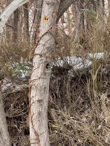 琴平神社(北海道)