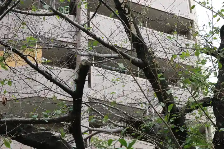 くまくま神社(導きの社 熊野町熊野神社)(東京都)