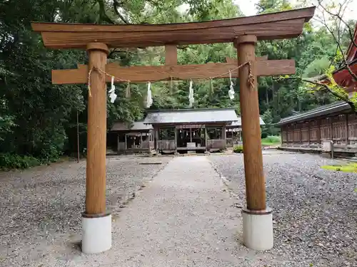 土佐神社の鳥居