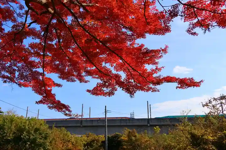 東館稲荷神社の周辺