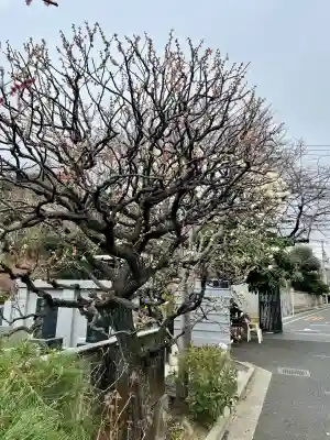 宗善寺(東京都)
