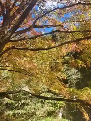 蓬莱神社の自然