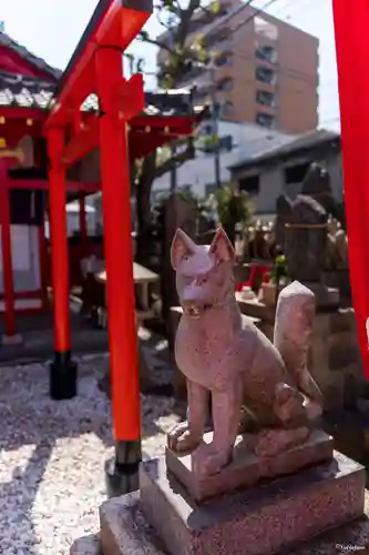 赤手拭稲荷神社の狛犬