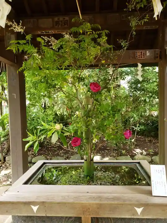 赤坂氷川神社(東京都)