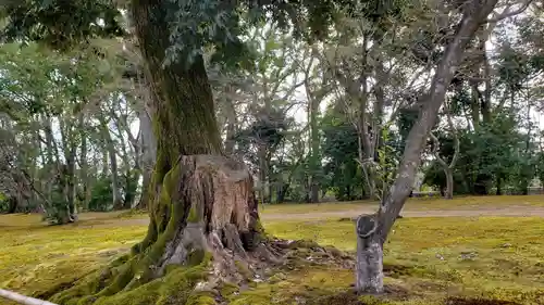 鹿苑寺（金閣寺）の庭園