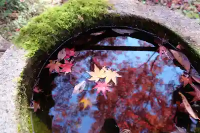 勝持寺（花の寺）(京都府)