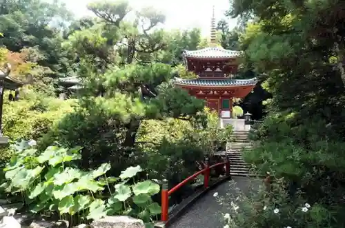 平等寺（三輪山平等寺）の建物その他