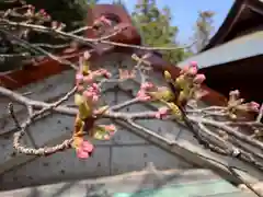 滑川神社 - 仕事と子どもの守り神(福島県)