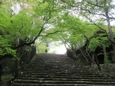 竹林寺(高知県)