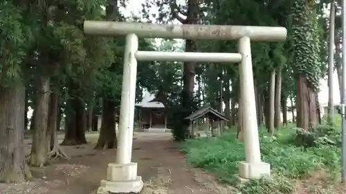 今鹿島神社の鳥居