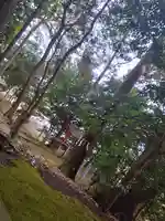 西宮神社(京都府)