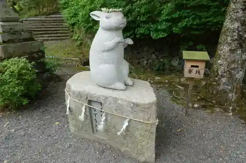 出雲大神宮の狛犬