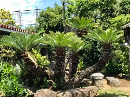 検見川神社の庭園