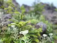 高峯神社(大室神社奥宮)の自然