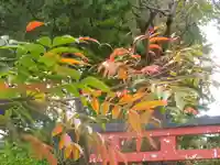 由比若宮(元鶴岡八幡宮)の自然