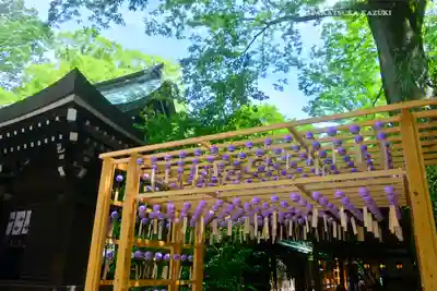 川越氷川神社(埼玉県)