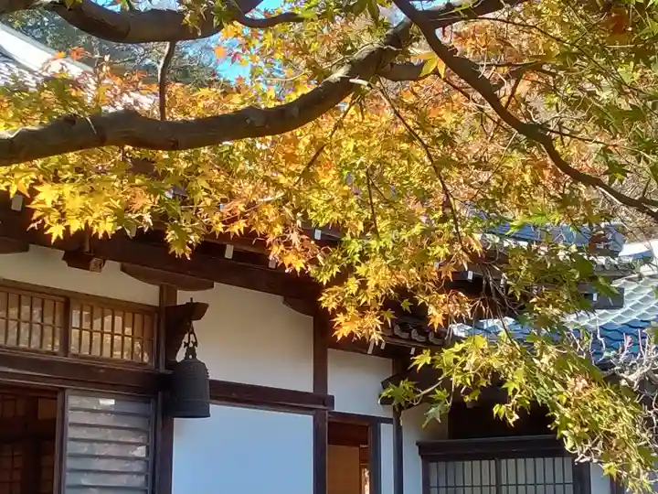 長壽寺(長寿寺)(神奈川県)