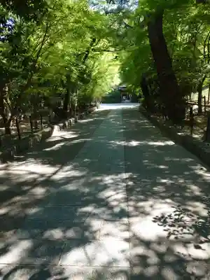 宇治上神社の周辺