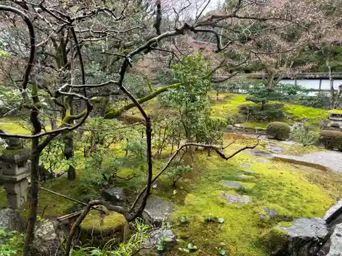 御寺 泉涌寺の庭園