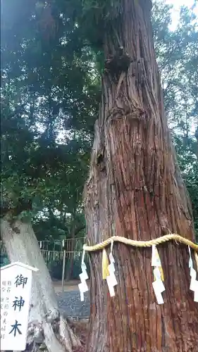 息栖神社の自然