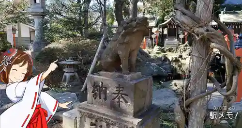 千葉神社の狛犬